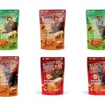 Tecell Launches Industry-Revolutionizing EV Charging Hub to Transform India and Global Markets