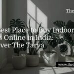 Zapium Releases 2025 Maintenance Maturity Insights